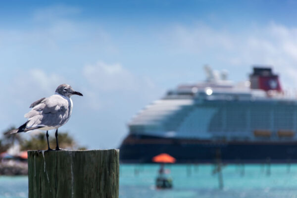 Disney Cruise Line Will Open A New Island Destination In The Bahamas Next Year